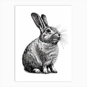 Chinchilla Blockprint Rabbit Illustration 4 Art Print