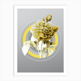 Botanical Gallic Rose in Yellow and Gray Gradient n.274 Art Print
