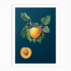 Vintage German Apricot Botanical Art on Teal Blue n.0803 Art Print