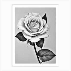 Rose B&W Pencil 1 Flower Art Print