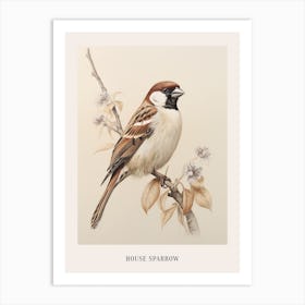 Vintage Bird Drawing House Sparrow 1 Poster Art Print