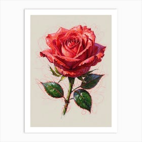 Red Rose 1 Art Print