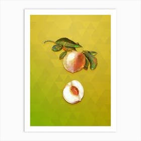 Vintage Peach Botanical Art on Empire Yellow n.1631 Art Print