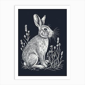 Netherland Dwarf Rabbit Minimalist Illustration 2 Art Print