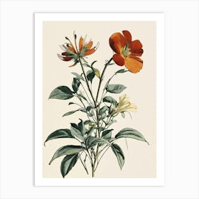 Two Orange Flowers 1 Art Print