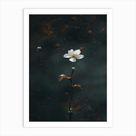 Single Flower In Water 27 Art Print