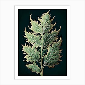 Artemisia Leaf Vintage Botanical 2 Art Print