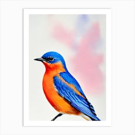 Eastern Bluebird Watercolour Bird Art Print
