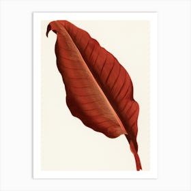 Red Banana Leaf Art Print