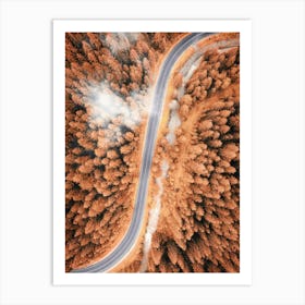 Aerial View Of A Pine Forest Road in Autumn 1 Art Print