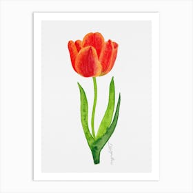 Tulip7 Art Print