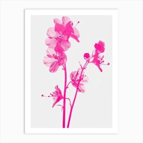 Hot Pink Coral Bells Art Print