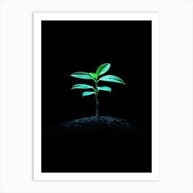 Green Plant On Black Background 6 Art Print