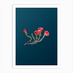 Vintage Gillies Purslane Flower Branch Botanical Art on Teal Blue n.0613 Art Print