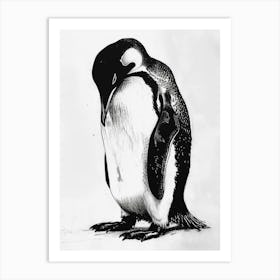 King Penguin Preening Their Feathers 2 Art Print