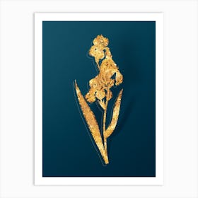 Vintage Dalmatian Iris Botanical in Gold on Teal Blue Art Print