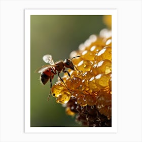 Bee On A Flower Art Print