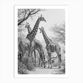 Herd Of Giraffe By The Tree 4 Art Print