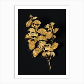 Vintage Snowdrop Bush Botanical in Gold on Black n.0587 Art Print