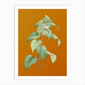 Vintage White Dead Nettle Plant Botanical on Sunset Orange n.0792 Art Print