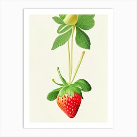 Everbearing Strawberries, Plant, Marker Art Illustration 2 Art Print