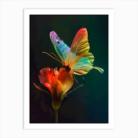 Butterfly On A Flower Art Print