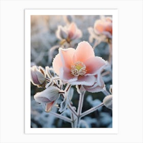 Frosty Botanical Christmas Rose 2 Art Print