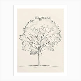 Sycamore Tree Minimalistic Drawing 3 Art Print