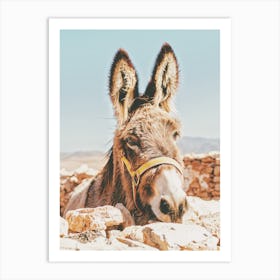 Desert Donkey Art Print