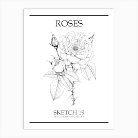 Roses Sketch 19 Poster Art Print