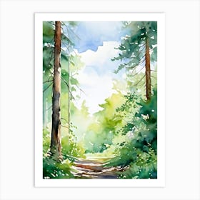 Watercolor Of A Forest Path Art Print