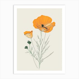 California Poppy Spices And Herbs Minimal Line Drawing 1 Art Print