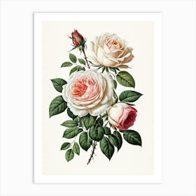 Vintage Galleria Style Rose Art Painting 29 Art Print