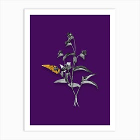 Vintage Blue Spiderwort Black and White Gold Leaf Floral Art on Deep Violet n.0230 Art Print