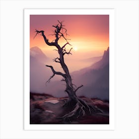 Dead Tree At Sunset Art Print