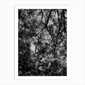 Beautiful black tree from below silhouette Art Print