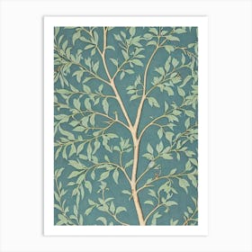 Kentucky Coffeetree 2 tree Vintage Botanical Art Print