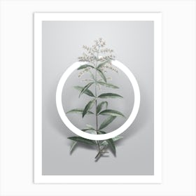 Vintage Lemon Verbena Branch Minimalist Botanical Geometric Circle on Soft Gray n.0538 Art Print