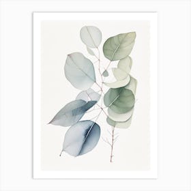 Eucalyptus Illustration Art Print