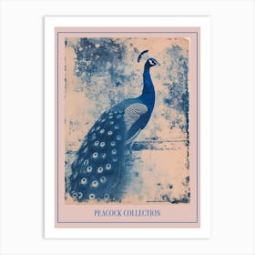 Blue & Sepia Cyanotype Inspired Peacock Poster Art Print