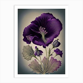 Purple Poppy Mallow Wildflower Vintage Botanical 1 Art Print