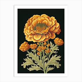 Marigold Wildflower Vintage Botanical 2 Art Print