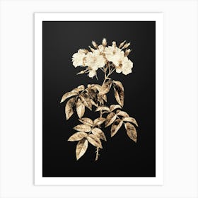 Gold Botanical Musk Rose on Wrought Iron Black n.3915 Art Print