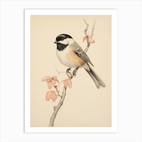 Vintage Bird Drawing Carolina Chickadee 1 Art Print