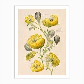 Yellow Vintage Flowers Farmhouse Botanical Art Print