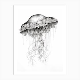 Box Jellyfish Drawing 3 Art Print