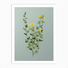 Vintage Yellow Jasmine Flowers Botanical Art on Mint Green n.0469 Art Print