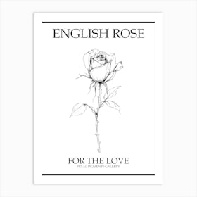 English Rose Black And White Line Drawing 20 Poster Art Print