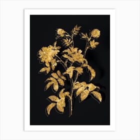 Vintage Cinnamon Rose Botanical in Gold on Black n.0225 Art Print