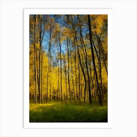 Autumn Forest 93 Art Print